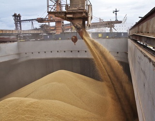 «Прометей» планує експортувати на умовах FOB до 100 тис. зернових на місяць